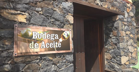 Gran Canaria Gastronomic Sightseeing Tour: Olive Oil, Olives, Rum & Bananas