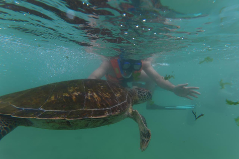 SH Snorkeling Club Mirissa