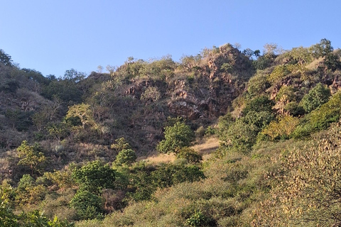 Monsoon Palace visit with Hotel Pickup-dropoff All Inclusive Guided Hiking at Monsoon Palace with Lunch