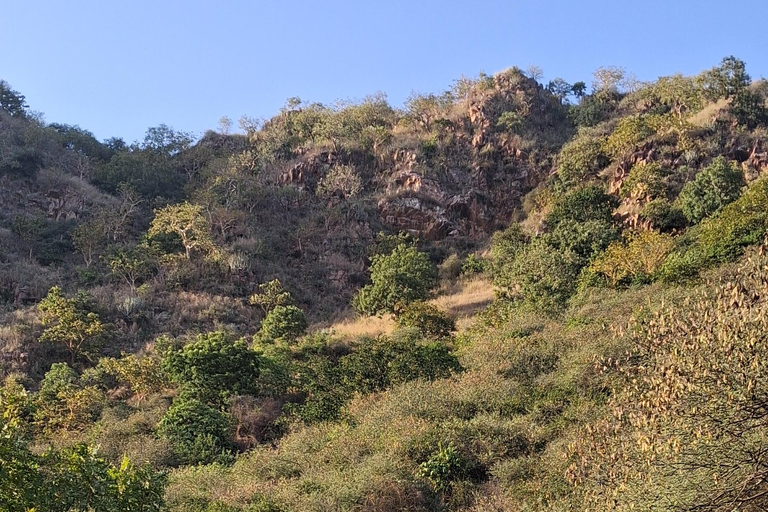 Monsoon Palace visit with Hotel Pickup-dropoff All Inclusive Guided Hiking at Monsoon Palace with Lunch