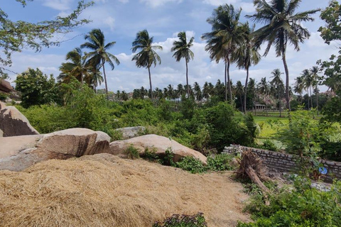 Hampi: Tour privato guidato di 2 giorni con partenza da BangaloreHampi: Tour guidato privato di 2 giorni in auto da Bangalore