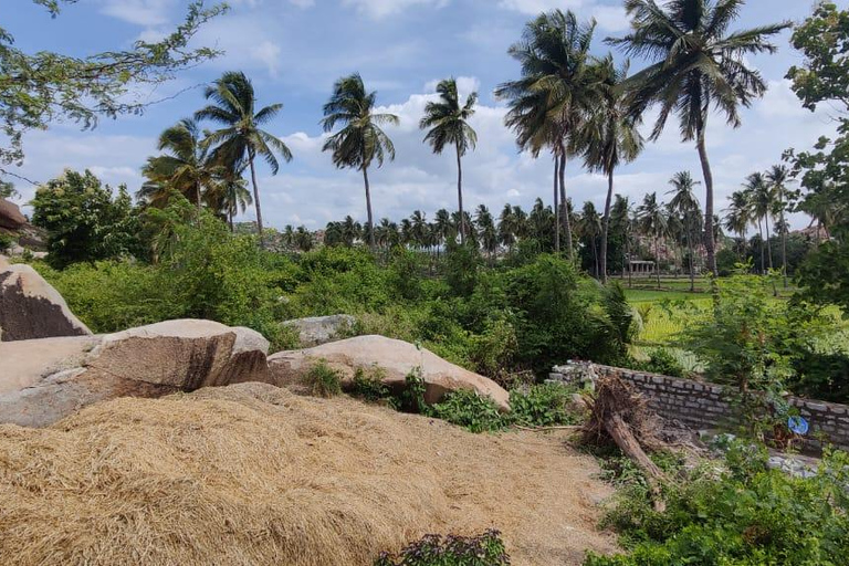 Hampi: Prywatna wycieczka z przewodnikiem przez 2 dni z BangaloreHampi: 2-dniowa prywatna wycieczka z przewodnikiem w samochodzie z Bangalore