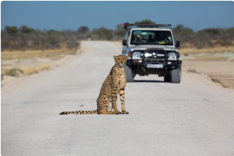 Namibia: explora el cañón más grande de África, las dunas y las salinas.Namibia: explora el cañón más grande de África, las dunas y las salinas