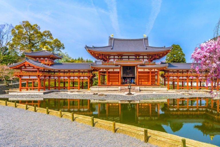 Osaka:Nara & Uji In-depth One-Day Tour丨Deer Feeding