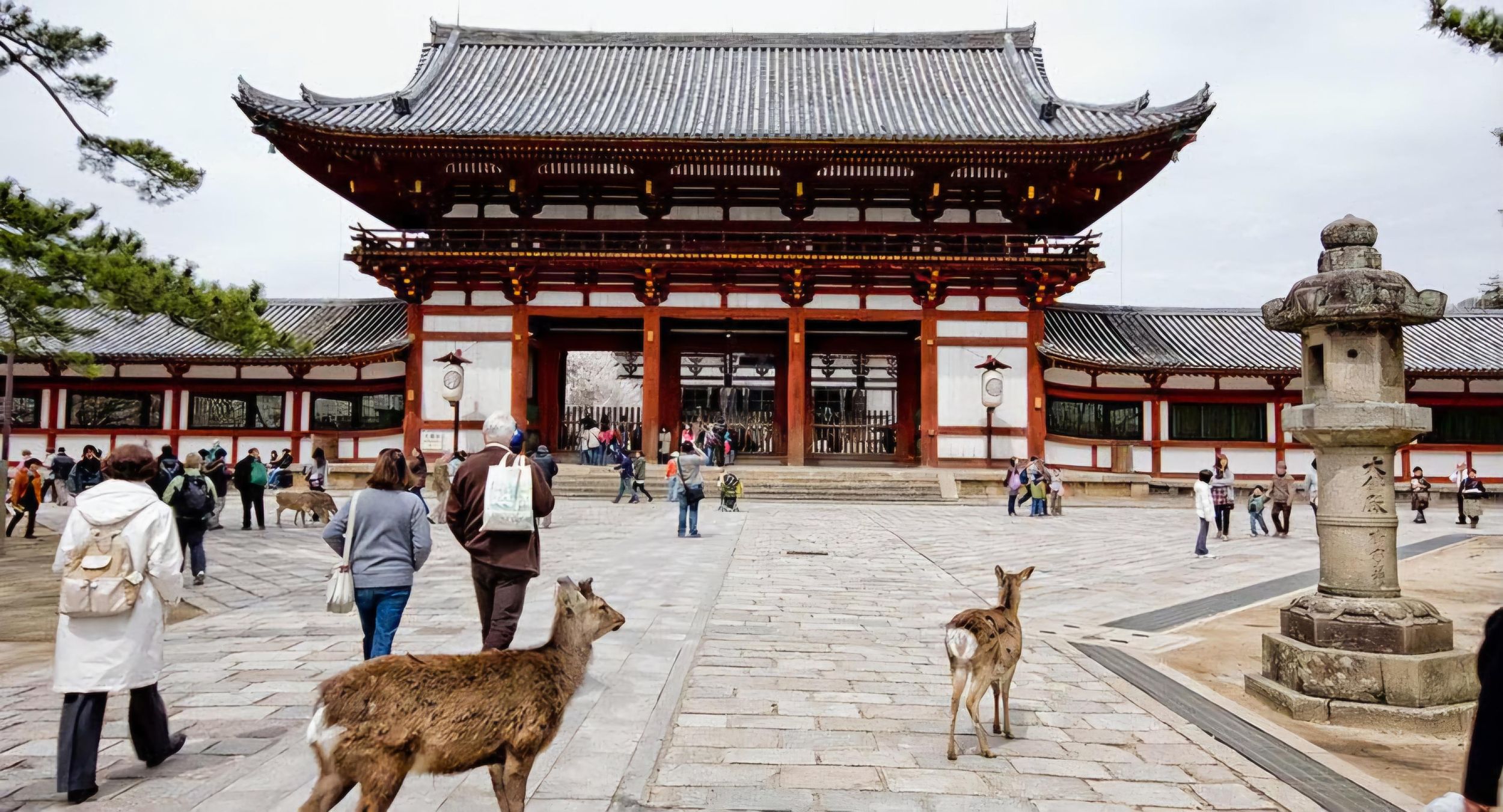 Private Tagestour nach Nara mit Hotelabholung und englischsprachigem Guide