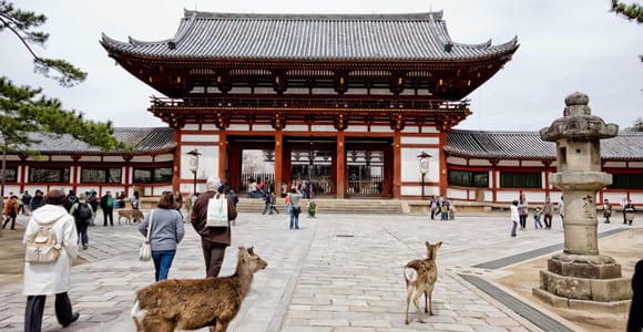 Nara Private Day Trip with Hotel Pickup and English Guide