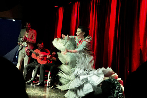 Alicante; Privater Besuch der Cuevas del Canelobre und Flamenco-Show im Van