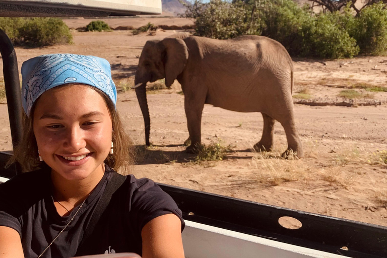From Windhoek: 6-Day Namibia Safari with Lodging & Meals