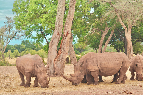 Livingstone Mosi-oa-Tunya 4x4 Rhino Tracking and Lunch