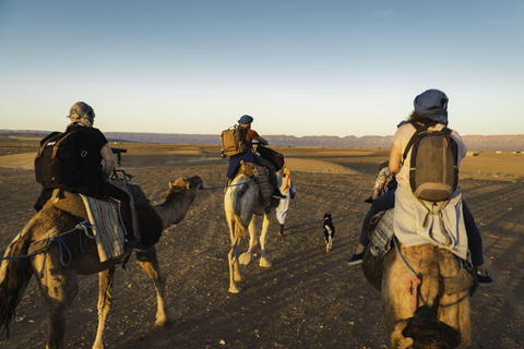 Fuerteventura: Horse Healing & Sunset Views