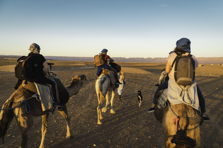 Fuerteventura: Horse Healing & Sunset Views