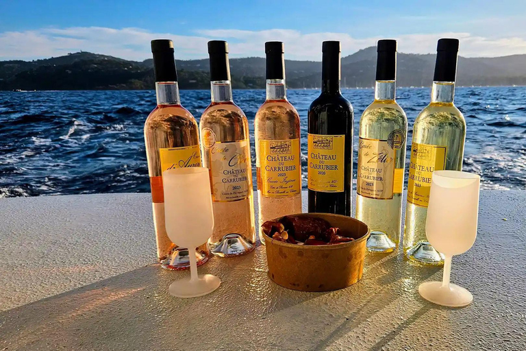 Tasting cruise in the bay of Bormes les Mimosas on a hybrid boat