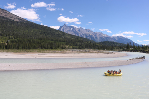 Golden, BC: Kicking Horse River Whitewater Rafting Adventure