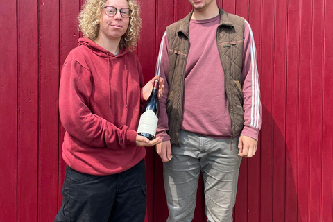 Visit a family-run winery and its troglodyte cellar in Bourgueil Visit the family winery and its troglodyte cellar