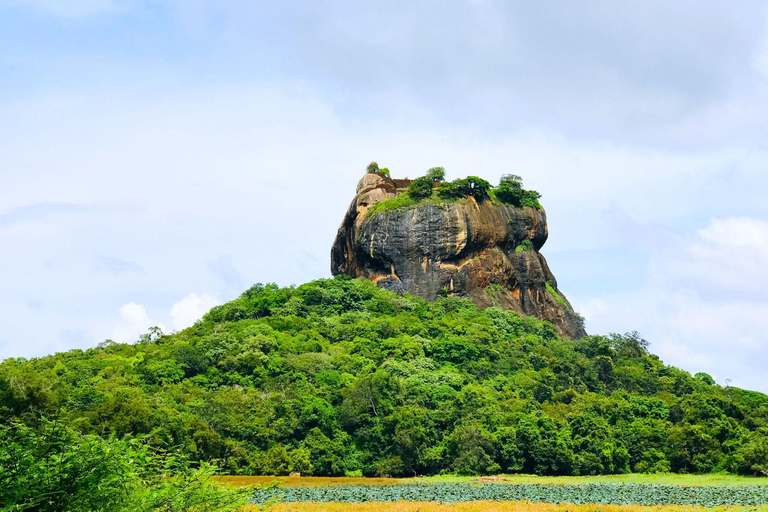 Sigiriya: Rock Fortress, Village Tour, and Jeep Safari