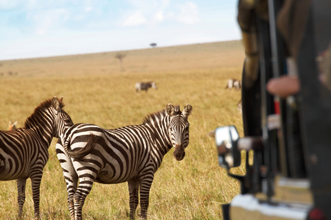 From Zanzibar: 2-Day Selous Safari with Flights & Lodge Stay 2-Day Selous Safari - Without Transfer