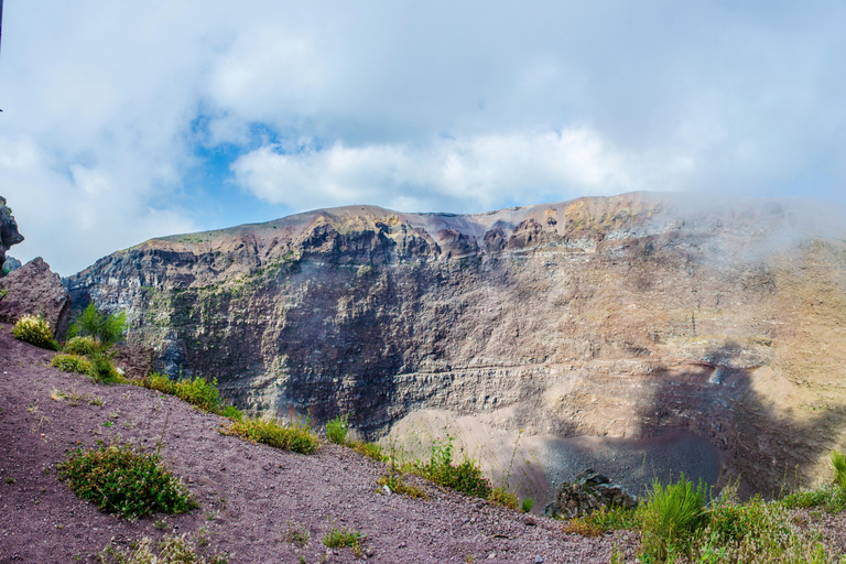 From Naples: Vesuvius and Herculaneum Day Trip with Tickets