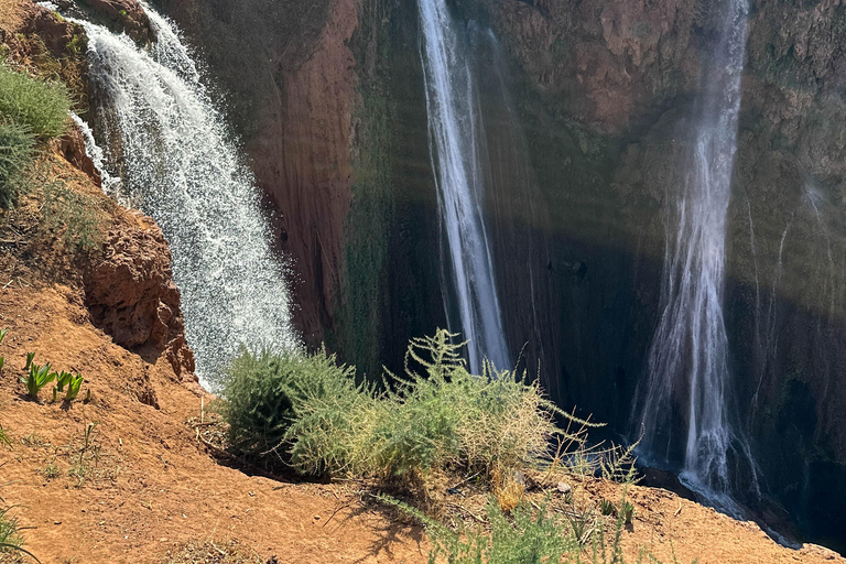 من مراكش: رحلة يومية إلى شلالات أوزود مع جولة بالقاربرحلة اليوم الواحد المشتركة: جولة بصحبة مرشد سي