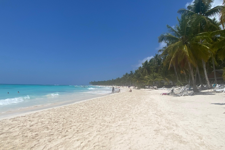 Punta cana: Saona Island and natural pool experience