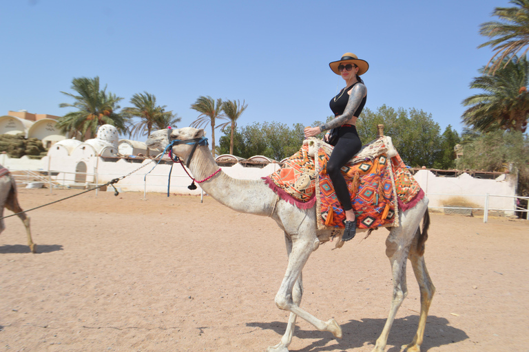 Hurghada: Amanecer VIP en quad, camello y desayuno beduino