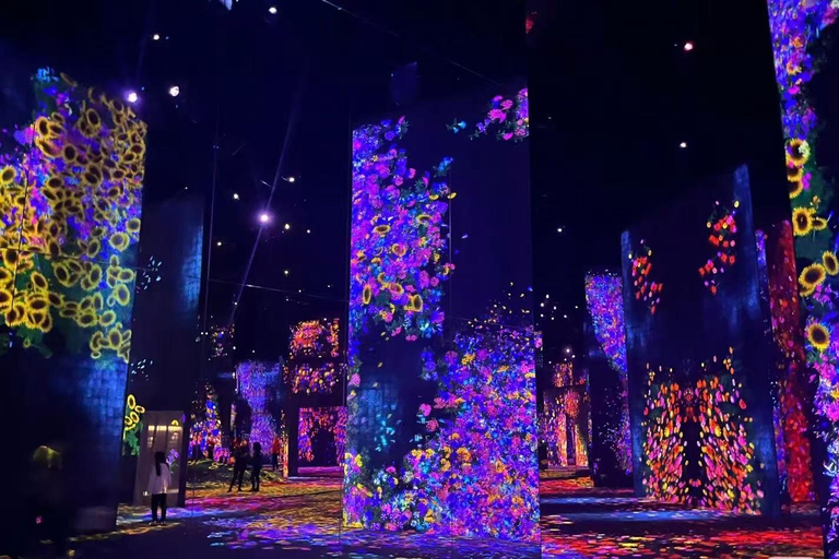 Macao: teamLab SuperNature Entry Ticket & digital Guide