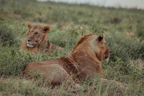 Zanzibar: 4-Day Mid-Range Safari Special for Honeymooners