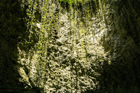 Sacred River Day: Underground River, Cenote and Jungle Magic Sacred River Day: Underground River, Cenote and Magic of the Jungle