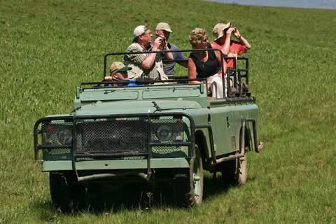 Zanzibar: Private Day Trip to Mikumi Safari (Open Jeep)