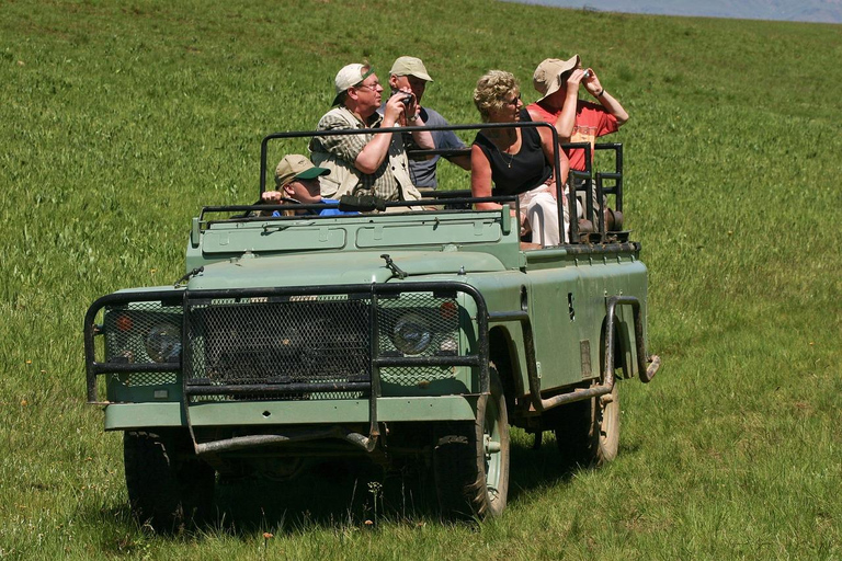 Zanzibar: Private Day Trip to Mikumi Safari (Open Jeep)