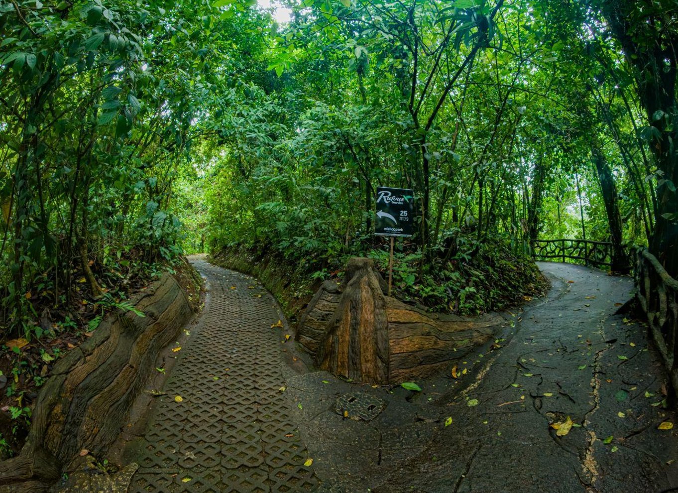 La Fortuna: Guidet tur med hængende broer i Mistico Park
