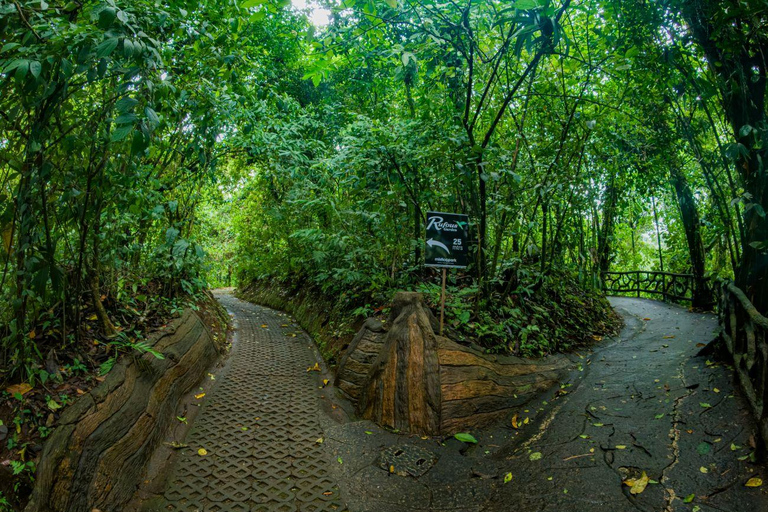 Hanging Bridges Walk in Arenal Volcano