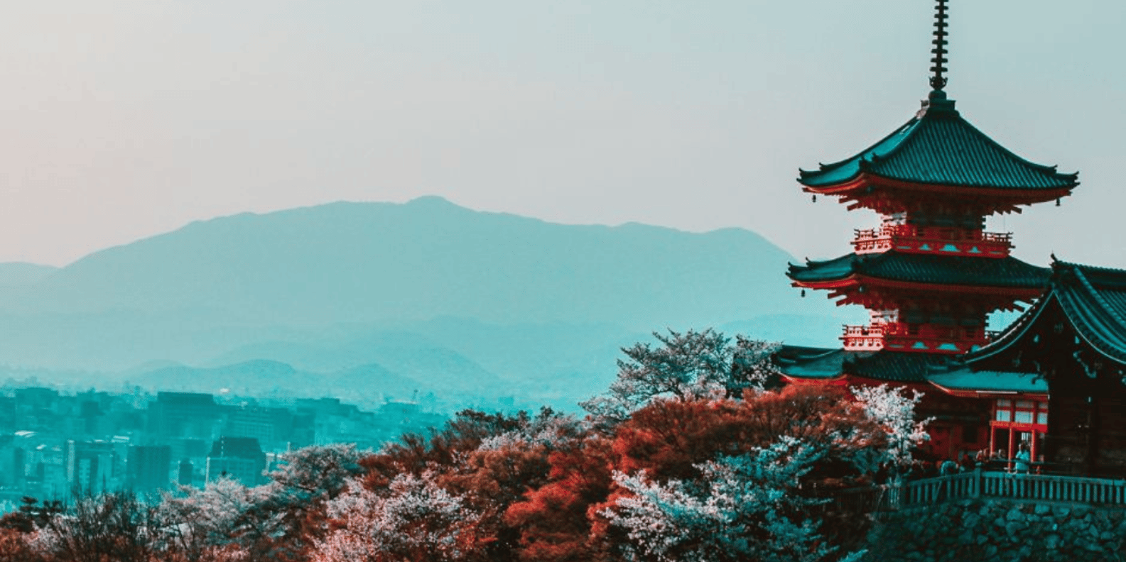 Kyoto : Private Custom Walking Tour With A Local Guide