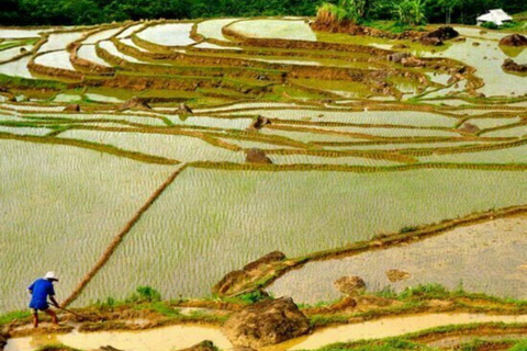 Pu Luong 2 giorni e 1 notte - Tour di trekking fuori dal comune