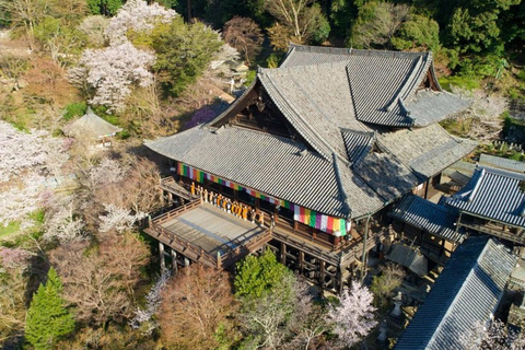Tokyo: City One Day Private Luxury Top Places Tour