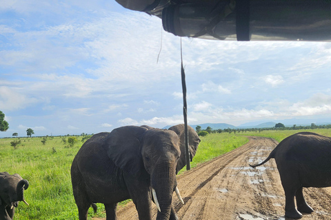 Safari 3-Days from Zanzibar to Mikumi National Park by ferry Come to meeting point "Dar es Salaam SGR station"