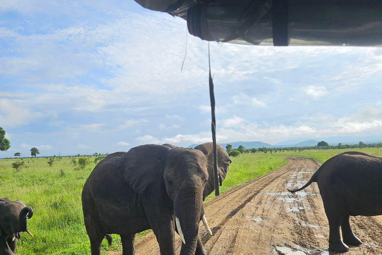 Safari 3-Days from Zanzibar to Mikumi National Park by ferry Come to meeting point "Dar es Salaam SGR station"