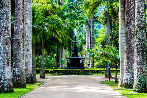 Rio de Janeiro: Tour privato del Giardino Botanico PremiumRio de Janeiro: Tour privato premium del Giardino Botanico