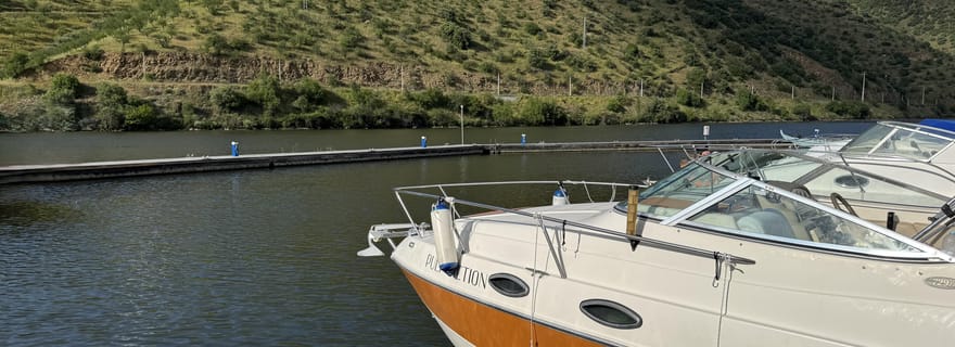 Excursion privée en bateau - Cais do Pocinho - Vallée du Douro et Côa