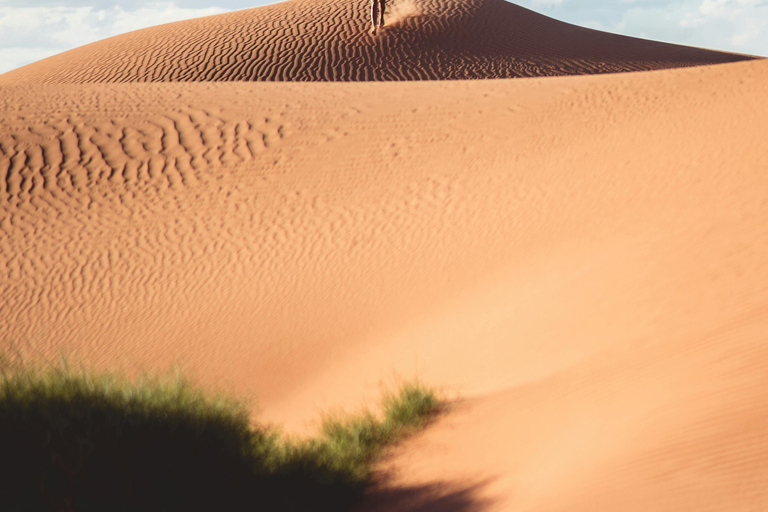 Doha: Sunset Desert Safari, Dune Bashing with dinner at Souq