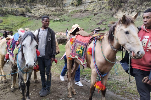من أديس أبابا: رحلة نهارية من أديس أبابا إلى بحيرة ونشي كريتر مع وجبة غداء