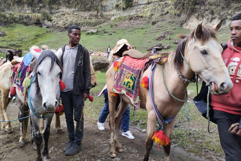 من أديس أبابا: رحلة نهارية من أديس أبابا إلى بحيرة ونشي كريتر مع وجبة غداء