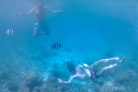 Praslin : Curieuse & St. Pierre excursion en bateau avec BBQ