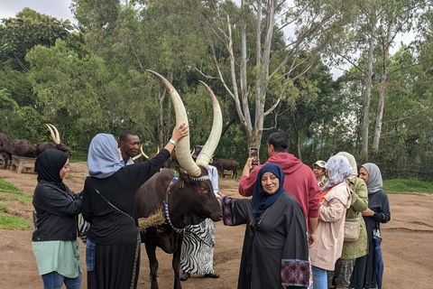 King's Palace and Ethnographic Museum Day Tour