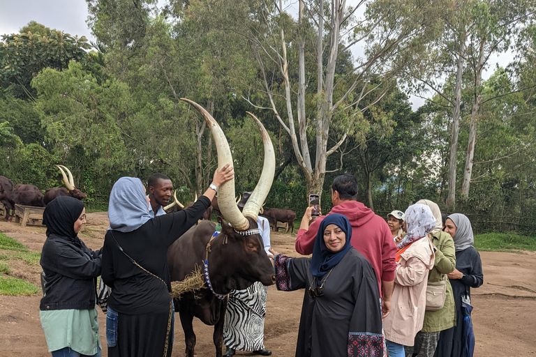 King's Palace and Ethnographic Museum Day Tour