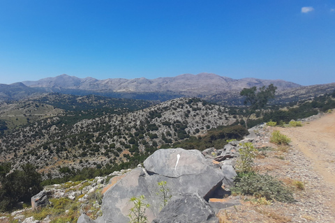 Creta: Azeitona, vinho e raki em uma viagem culinária saborosa