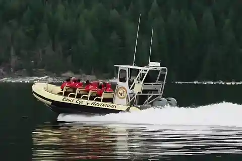 Campbell River: 4 Hour Whale & Wildlife Zodiac Boat Tour