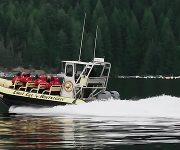 Campbell River: 4 Hour Whale & Wildlife Zodiac Boat Tour