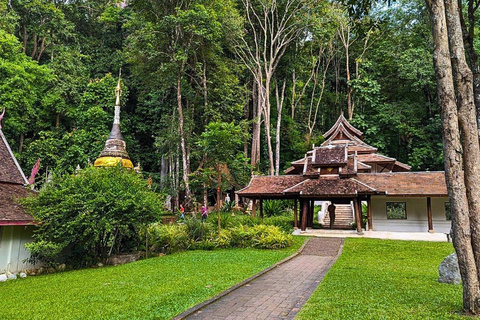 Visite du Doi Suthep et du temple Wat Pha Lat en soirée