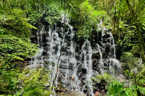 Ubud privato: Cascate, tempio dell&#039;acqua, terrazza di risoTour di un giorno (10-12 ore di tour), escluse le tariffe dei biglietti d&#039;ingresso