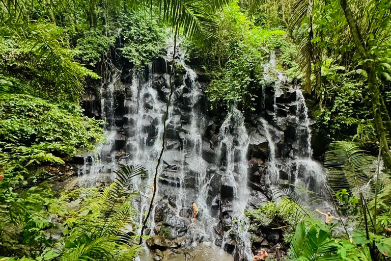 Ubud privato: Cascate, tempio dell&#039;acqua, terrazza di risoTour di un giorno (10-12 ore di tour), escluse le tariffe dei biglietti d&#039;ingresso